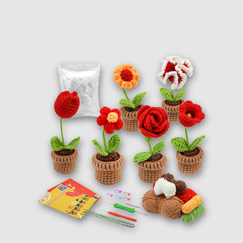 Kit de Crochet - 6 Fleurs en Pot