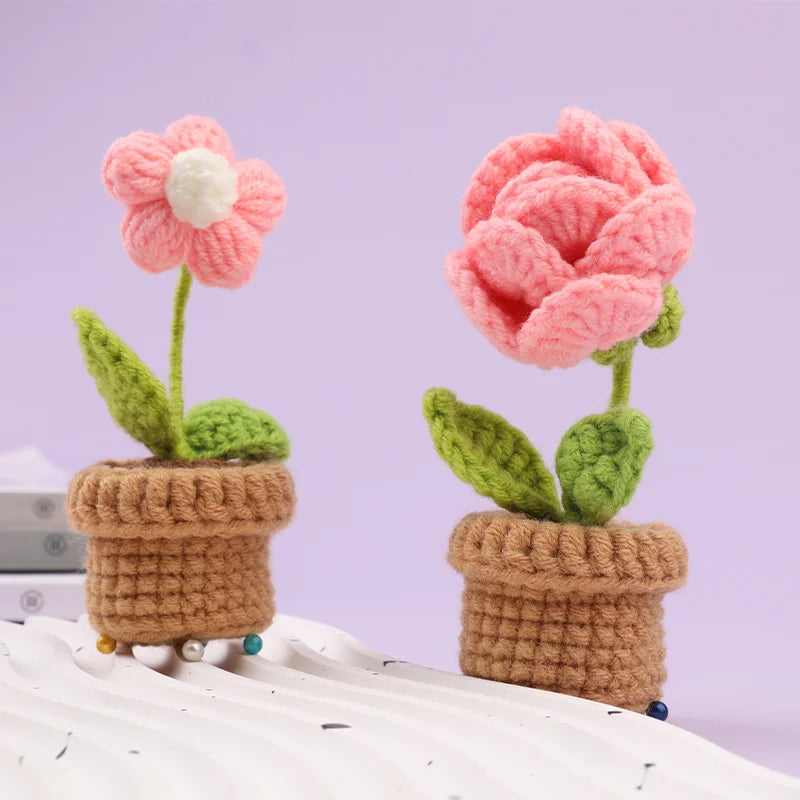 Kit de Crochet - 6 Fleurs en Pot