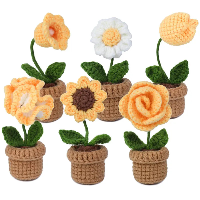 Kit de Crochet - 6 Fleurs en Pot
