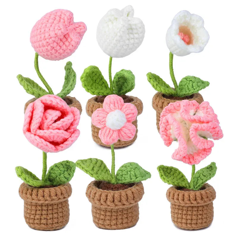 Kit de Crochet - 6 Fleurs en Pot