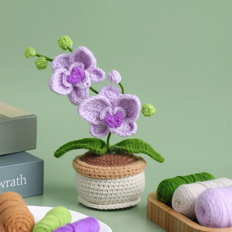 Kit d'Orchidée en Crochet