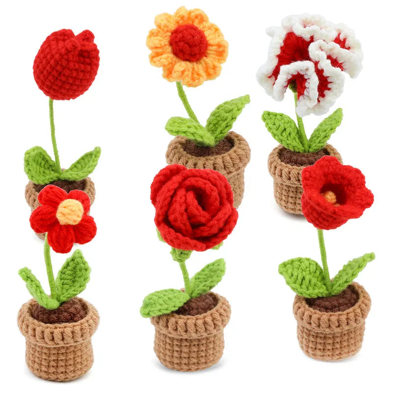 Kit de Crochet - 6 Fleurs en Pot