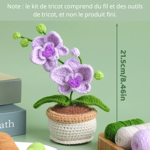 Kit d'Orchidée en Crochet